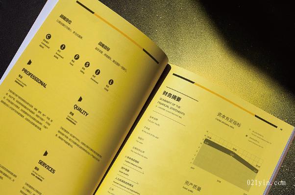 上海印刷公司從哪些角度做好公司畫冊設(shè)計欣賞 第1張 上海印刷公司從哪些角度做好公司畫冊設(shè)計欣賞 第1張