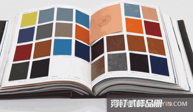 活頁式色卡樣本冊印刷 第3張 活頁式色卡樣本冊印刷 第3張