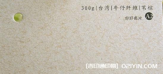 特種紙名片紙樣高清圖片 第10張 特種紙名片紙樣高清圖片 第10張