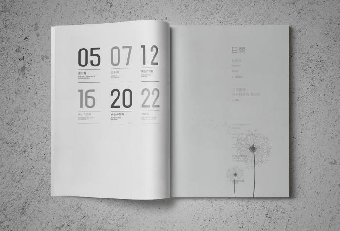 上海企業(yè)簡(jiǎn)介定制印刷，按需設(shè)計(jì)，貼合企業(yè)個(gè)性化需求